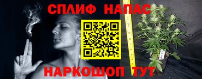стаф Татарск