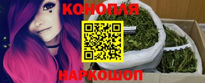 дживик Тверь