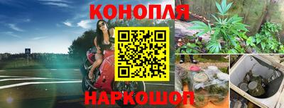 дживик Тверь