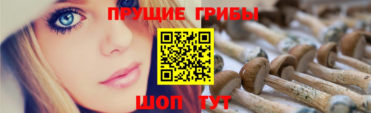 Галлюциногенные грибы GOLDEN TEACHER  Псилоцибиновые грибы Psilocybe  Великий Устюг  Вход с VPN 